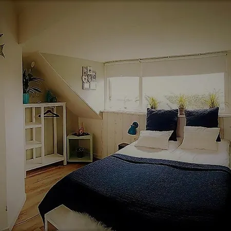 Bed & Breakfast Duinroos De Koog - Texel