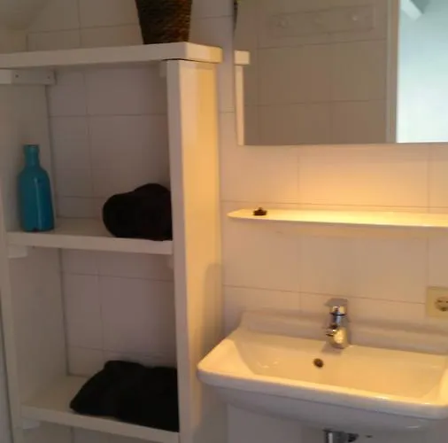 Duinroos - Texel De Koog (Texel)