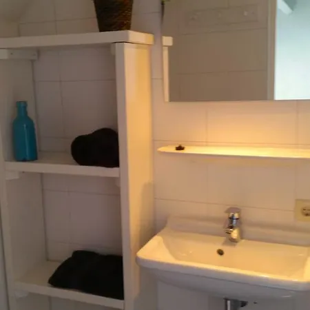 Duinroos - Texel 데쿠크