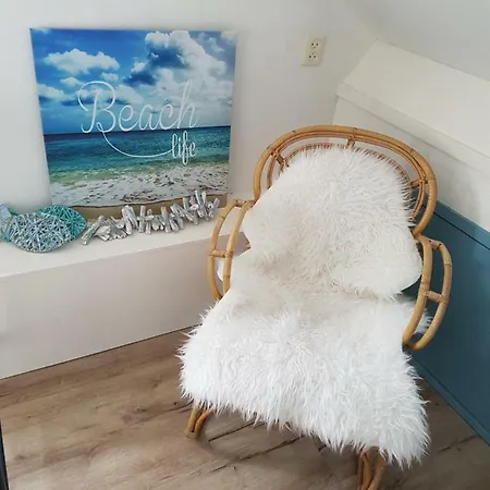 Duinroos - Texel 데쿠크