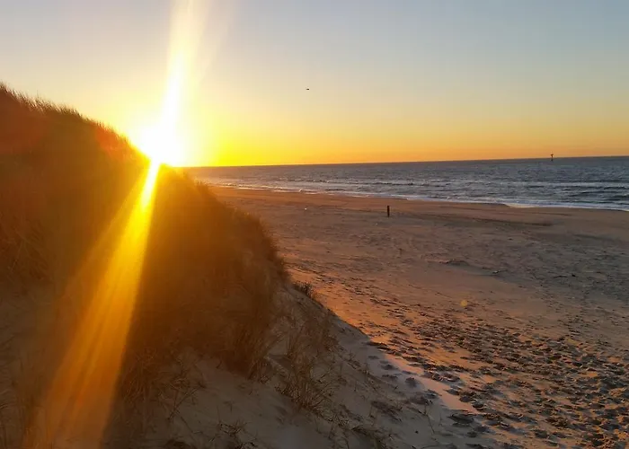 Duinroos - Texel B&B