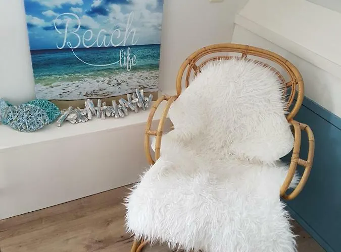 Duinroos - Texel 데쿠크